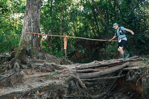 BIB: 
                            <button type="button" onclick="openModal(27752183)" class="btn btn-primary btn-sm float-right btn-popup" data-toggle="modal" data-target=".modal-high-quality">
                        <i class="fas fa-shopping-cart"></i> Add to Cart
                    </button>
                                            <button type="button" onclick="isThisMe(27752183, true)" class="btn btn-success btn-sm float-right btn-popup btn-isme hidden" data-toggle="tooltip" data-placement="bottom" title="นี่คือรูปของคุณใช่ไหม คลิกที่นี่เพื่อเอาเข้าอัลบั้ม">
                        <i class="fas fa-plus"></i> Add to album
                    </button>
                    <button type="button" onclick="isThisMe(27752183, false)" class="btn btn-warning btn-sm float-right btn-popup btn-isnotme hidden">
                        <i class="fas fa-ban"></i> Remove from album
                    </button>